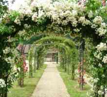 Градински арки цветя: приличен район декорация