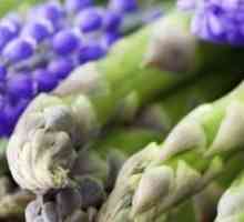 Asparagus - зеленчукови култури
