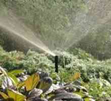Системи за автоматично поливане на градина