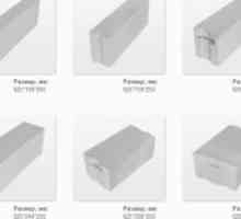 Баня на силикатни блокове: минуси и плюсове анализ на строителство на
