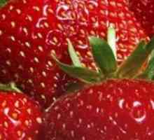 Богата реколта от ягоди, отглеждани в градината си