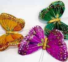 Какво прави пеперудата на Фън Шуй