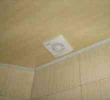 PVC панели на тавана: събират свои ръце