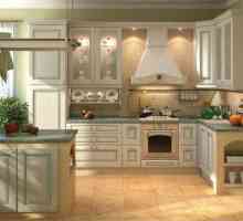 16 Кв.м Кухня Design: опции за интериора