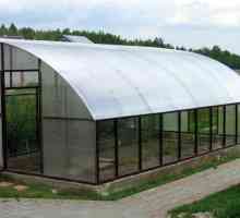 Производство на поликарбонат покрив за оранжерии