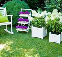 Рафтове за цветя: "дом" за растения и декорации за интериора