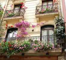 Как и защо да се украсяват с балкон