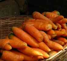Как да съхранявате моркови?