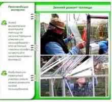 Как да си направим препарати оранжерии от поликарбонат през пролетта