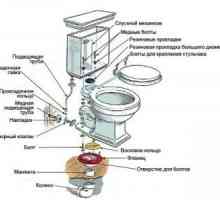 Как да се извърши ремонт на тоалетна чиния с ръцете си