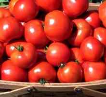 Как да растат здрави домати?