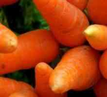 Как да се засадят моркови през пролетта?