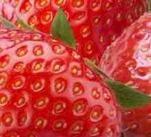 Как да се засадят ягоди?