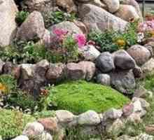 Как да си направим легло от камъни и да се обърнат към градината в цъфтяща оазис?