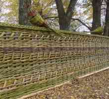Как да се изгради един оригинален и щадящ околната среда ограда?