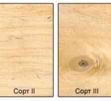 Как да се положи на шперплат на дървения под и какво да спаси?