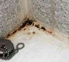Как да премахнете черен гъбички в банята?