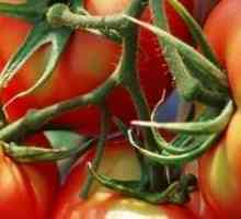 Както във формуляра на оранжерийни домати