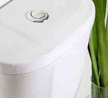 Как да се замени тоалетното казанче клапан