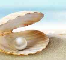 Какви са свойства перли в черупка?