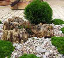 Камъни в градината като декорация