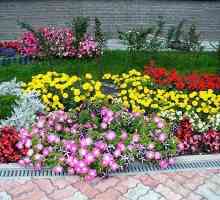 Легла за цветя и цветни градини в страната: от къде да започна