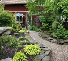 Ландшафтен дизайн и декорация на градина дизайн