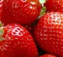 Малките тайни на високи добиви на ягоди