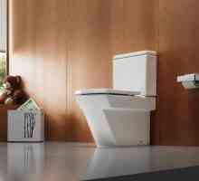 Методи и средства за запазване на външния вид на тоалетната чиния