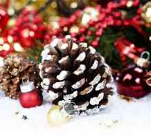 Коледа състав на конуси: красота връчена от природата