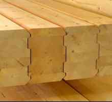 Основните предимствата и недостатъците на къщата на ламиниран фурнир дървен материал