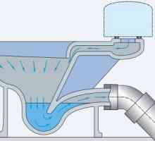 Особености на структурата на тоалетната чиния