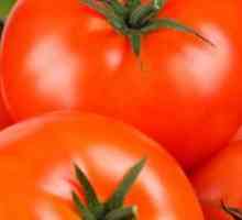 Защо се справи доматите в оранжерията?