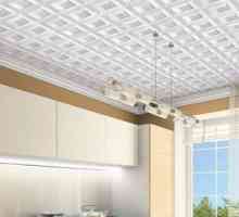 Паната: модерна довършителни материали за дизайна на тавана