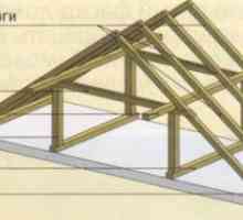 Изчисляване на дървени покривни системи, видове проекти