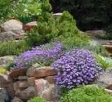 Rock градина - част от декора със собствените си ръце