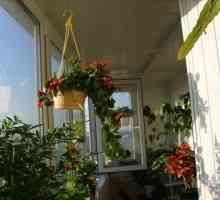 Градина на балкона