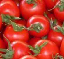 Тайните на високи добиви от домати