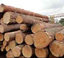Обхват на модерен дървен материал