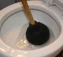 Методи за ефективно почистване на тоалетната чиния