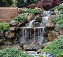 Изграждане на водопад в градината със собствените си ръце