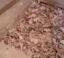 Изолация на тавана на помощта на дървени стърготини