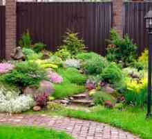 Вашата градина: какви растения да се засаждат?