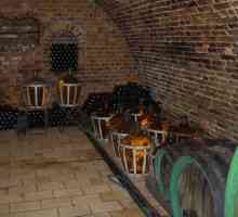 Винарска изба - любимо място в къщата, за колекционер на вино