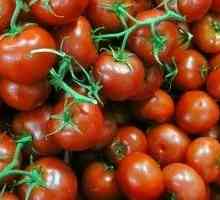 Отглеждане високи чери домати