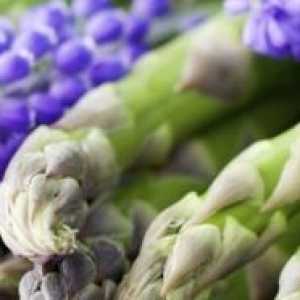 Asparagus - зеленчукови култури