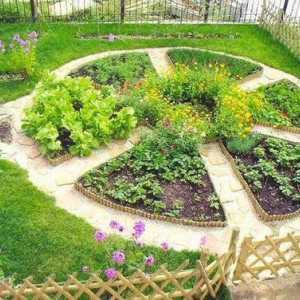 Декоративна градина: как да се направи красиви места на сайта