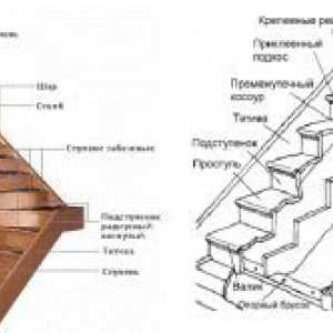 Дизайнът на хола със стълбище: Интериорни Secrets