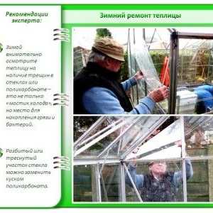 Как да си направим препарати оранжерии от поликарбонат през пролетта