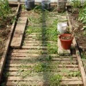 Що за напоителна система да се използва за градински оранжерии?